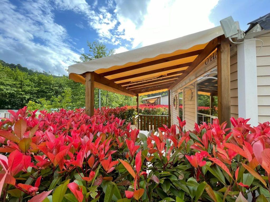 Camping Igara De San Sebastian Luaran gambar
